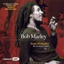 The Best of Bob Marley: Soul Almighty
