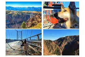 dog friendly colorado road trip