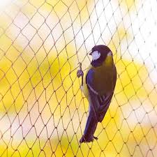 Bird Netting En Coop Net Poultry
