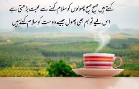 good morning poetry in urdu 2024