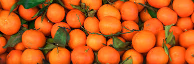 clementine mandarin calories