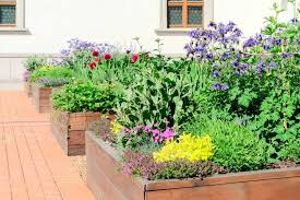 Pretty Edible Landscaping Ideas For