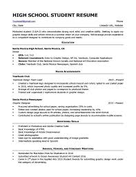 Resume Structure Template Thrifdecorblog Com