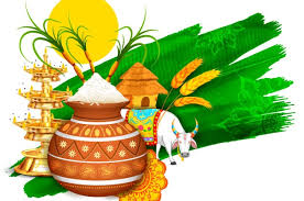 Image result for images of tamil pongal