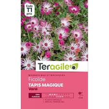 tapis magique fleur de peau