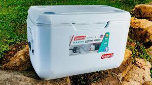 Best Coolers Of 2019 We Tested Yeti Igloo Rtic Coleman
