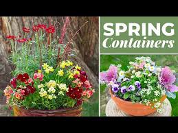 Spring Container Ideas
