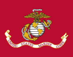 Maybe you would like to learn more about one of these? Flag Of The United States Marine Corps Wikipedia