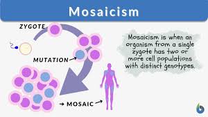 mosaicism definition and exles