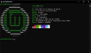 linux mint on wsl2 using wsldl