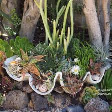 Succulent Container Design Tips