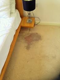 how to clean a carpet how to remove