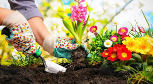 Tips For Gardening In Early Spring