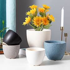 Ceramic Pot For All Home Garden Flowers
