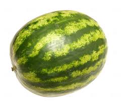 watermelon fruit png free