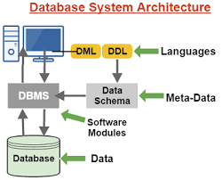 What Is A Database Management System Purpose And Function