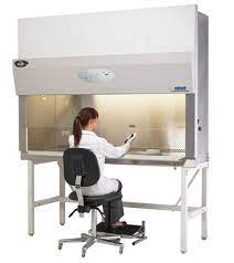 working in a biosafety cabinet 5