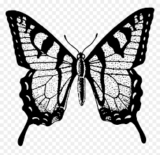 Download transparent butterfly png for free on pngkey.com. Black And White Butterfly Png Black And White Butterfly Transparent Png Download Vhv