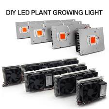The best led grow lights will vary upon your grow. Cob Led Grow Light Full Spectrum Actual Power 50w 100w 150w 200w Led Plant Grow Lamp For Indoor Plants Veg Flowering Stage Best Price 92231 Cicig