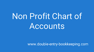 non profit chart of accounts double
