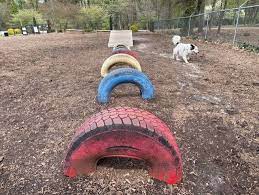 spartanburg s rail tail dog park will