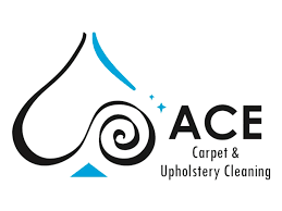 ace carpet upholstery cleaning 0415