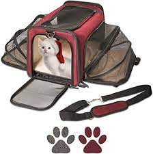 Cat Carrier and Small Dog Carrier by Pet Peppy- Expandable Sides Creates  Twice The Space for Pets - Perfect Cat Travel Bag | Dog Travel Bag -  Airline Approved Pet Carrier! :