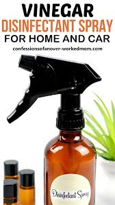 vinegar disinfectant spray for home and