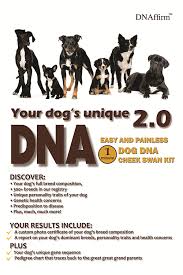 Top 7 Best Dog Dna Test Kits Alex Huon Torial