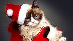 there s a grumpy cat christmas