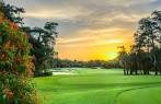 Banyan Golf Course in West Palm Beach, Florida, USA | GolfPass