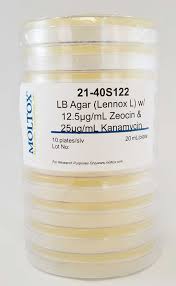 21 40s122 lb agar w zeocin kanamycin
