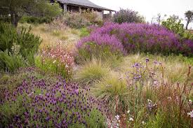 Garden plans from around the world designed and shared by real gardeners. Expert Advice 8 Tips For A Meadow Garden From Grass Guru John Greenlee Gardenista