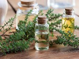 Image result for photos of thyme tincture and herbals vinegars