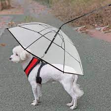 Ombrello per cani da compagnia con manico a forma di C con guinzaglio  ombrello trasparente ombrello ad angolo regolabile per cuccioli di cane  Rain Snow Day - AliExpress