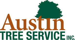 You can become more competitive as a professional arborist by obtaining voluntary certification from organizations such as the international society of arboriculture (isa). Certified Arborist Austin Tree Services Texas