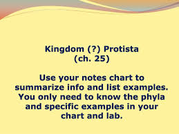 Ppt Kingdom Protista General Characteristics