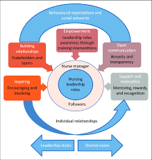 conceptual framework of nurse managers