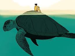 Sea Turtles And Me The New Yorker