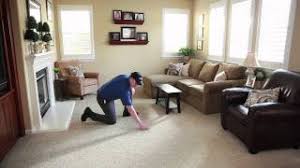 carpet cleaning and upholstery cleaning