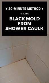 remove black mold from shower caulk