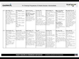 triathlon training programme 12 week