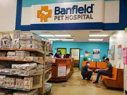 banfield pet hospital traverse city