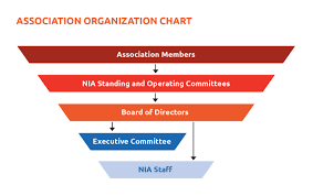 Organization And Structure Org Chart For Section C Nia