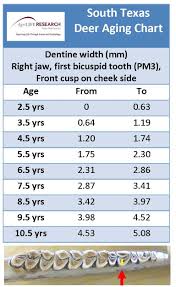 South Texas Deer Aging Chart Tooth Wear Aging Bucks On