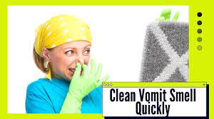 how to clean vomit smell from carpet