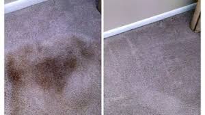 best 15 carpet cleaners in pace fl houzz