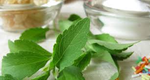 Is Stevia Safe The Truth About Stevia Being A Healthy