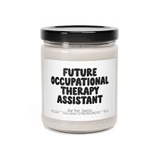 occupational therapy istant ot