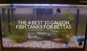 The 4 Best 10 Gallon Fish Tanks For Bettas Betta Care Fish Guide